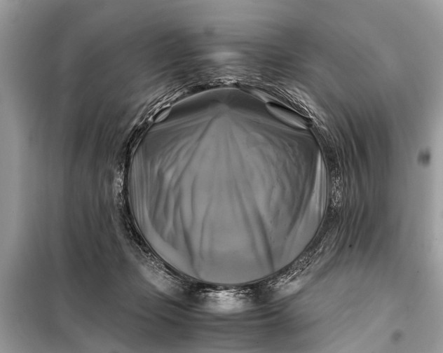 X0000098190365200805081053