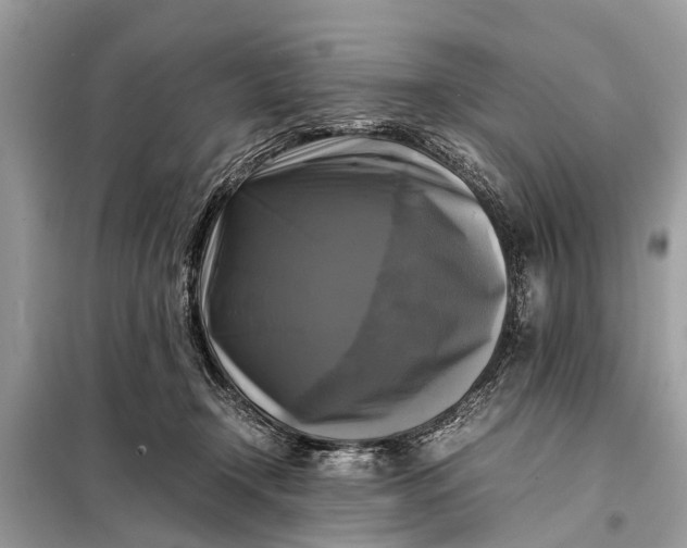 X0000098190366200805081053