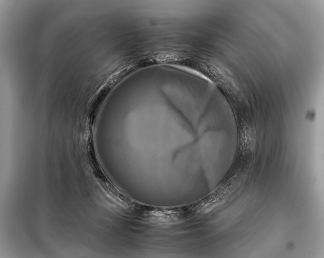X0000098190367200805081053