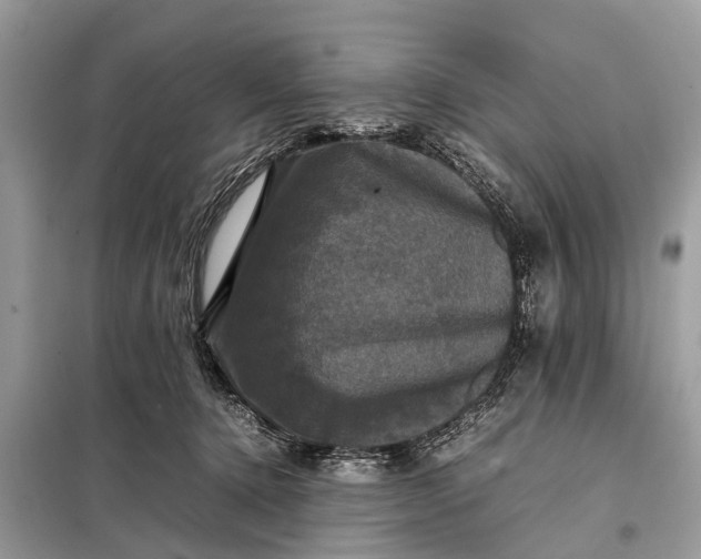 X0000098190368200805081053
