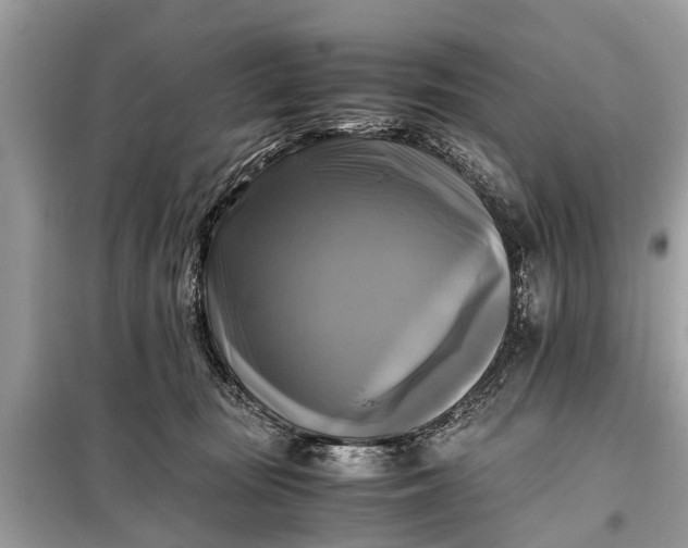 X0000098190371200805081053