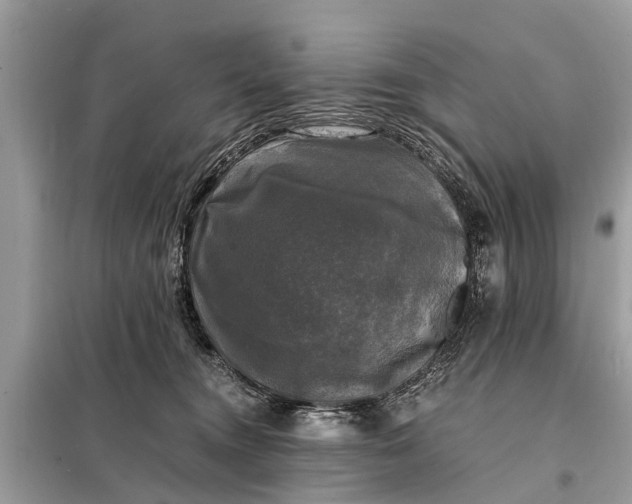 X0000098190372200805081053