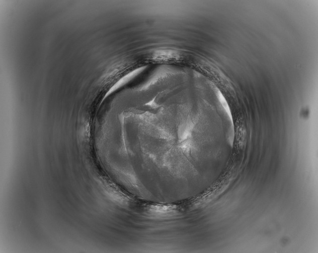 X0000098190375200805081053