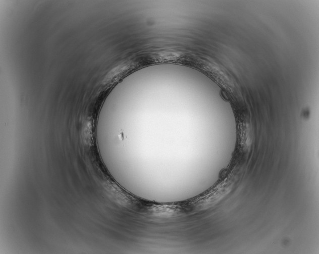 X0000098190378200805081053