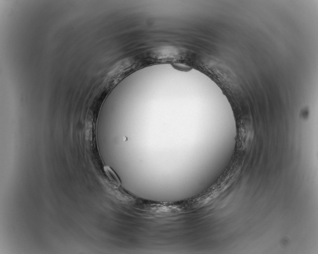 X0000098190379200805081053