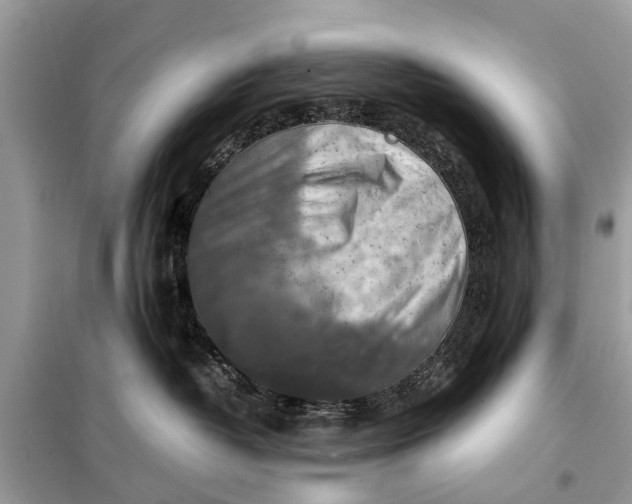 X0000098190382200805081054