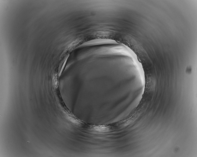 X0000098190383200805081054