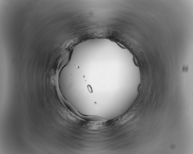 X0000098190384200805081054