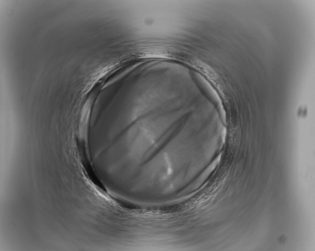 X0000098190385200805081053