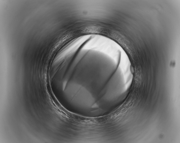 X0000098190386200805081053