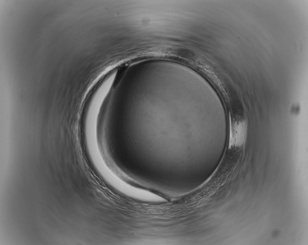 X0000098190387200805081053