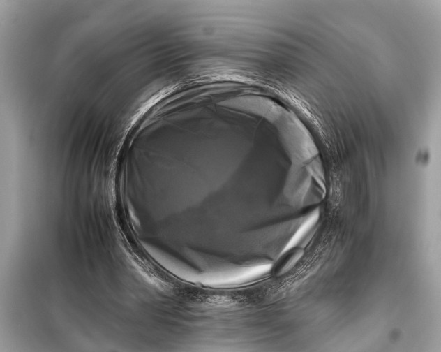 X0000098190390200805081053