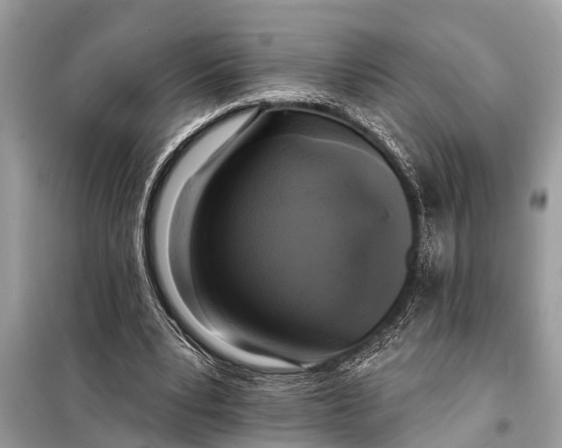 X0000098190391200805081053