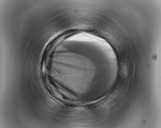 X0000098190392200805081053