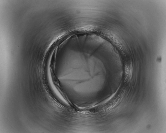 X0000098190396200805081053