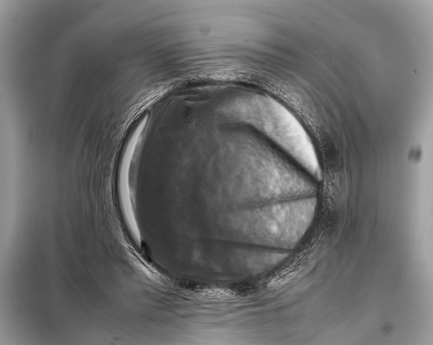 X0000098190397200805081053