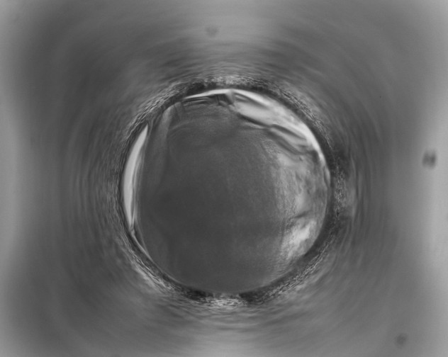 X0000098190401200805081053