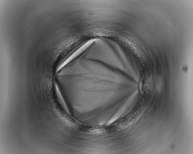 X0000098190402200805081053