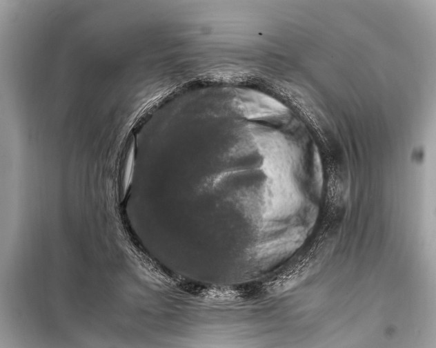 X0000098190403200805081053