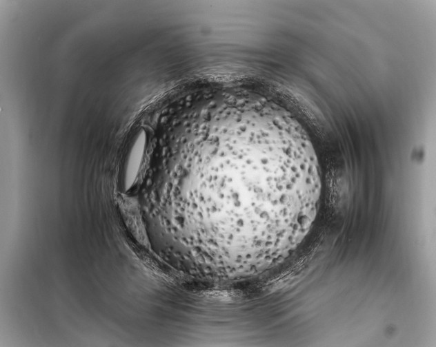 X0000098190404200805081053