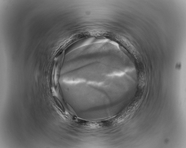 X0000098190405200805081053