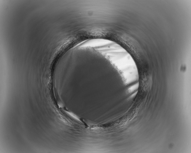 X0000098190407200805081053
