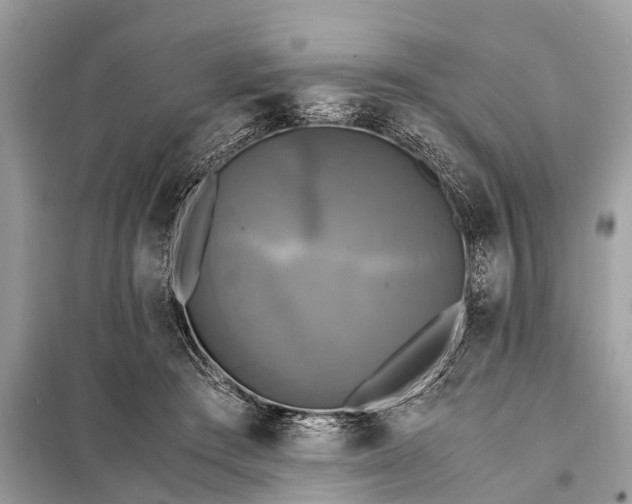 X0000098190409200805081053