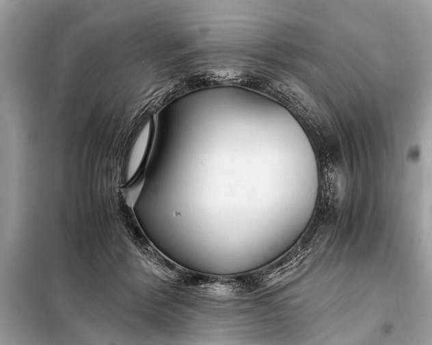 X0000098190412200805081052
