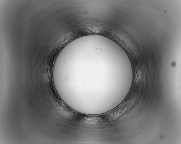 X0000098190414200805081052