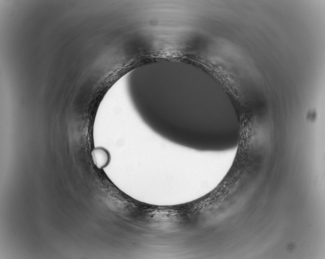 X0000098190415200805081052