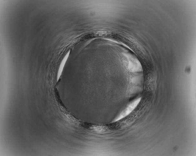 X0000098190417200805081052