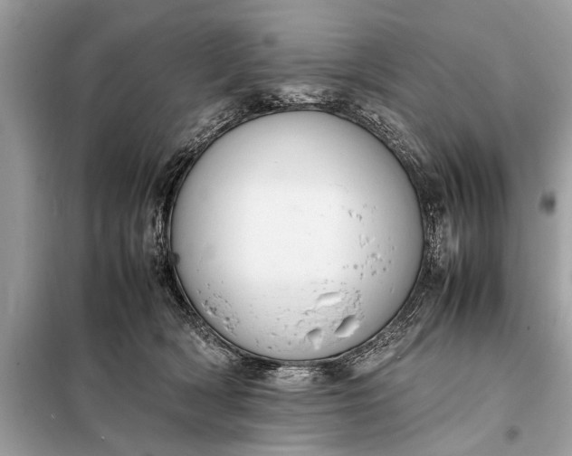 X0000098190418200805081052