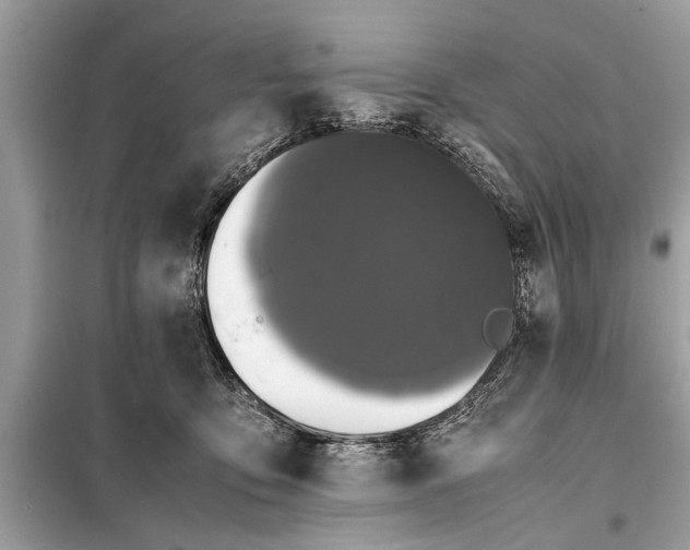 X0000098190419200805081052