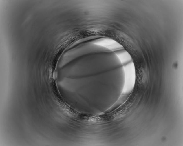X0000098190420200805081052