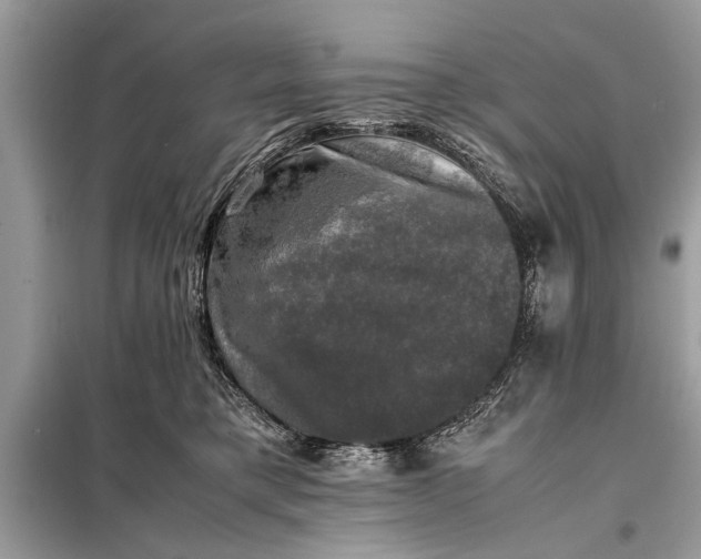 X0000098190421200805081052
