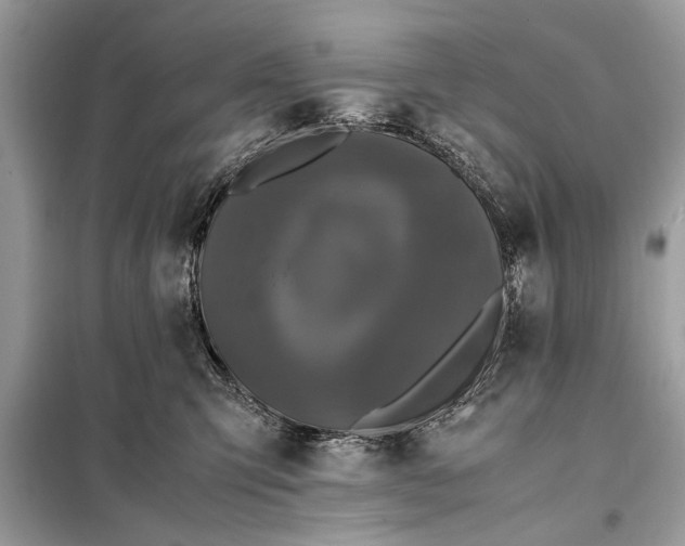 X0000098190423200805081052