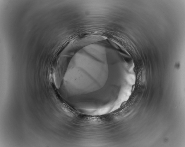 X0000098190424200805081052