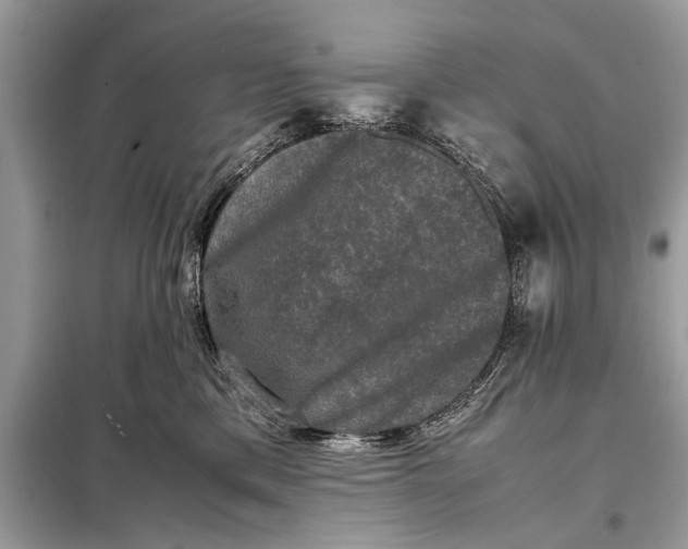 X0000098190425200805081052