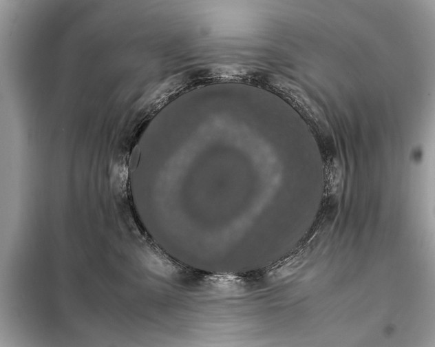 X0000098190427200805081052