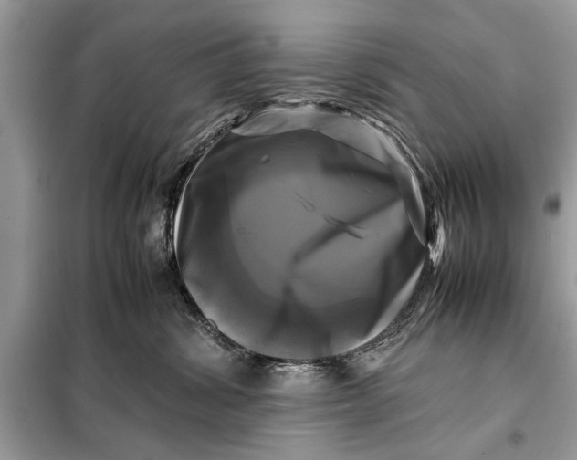 X0000098190428200805081052