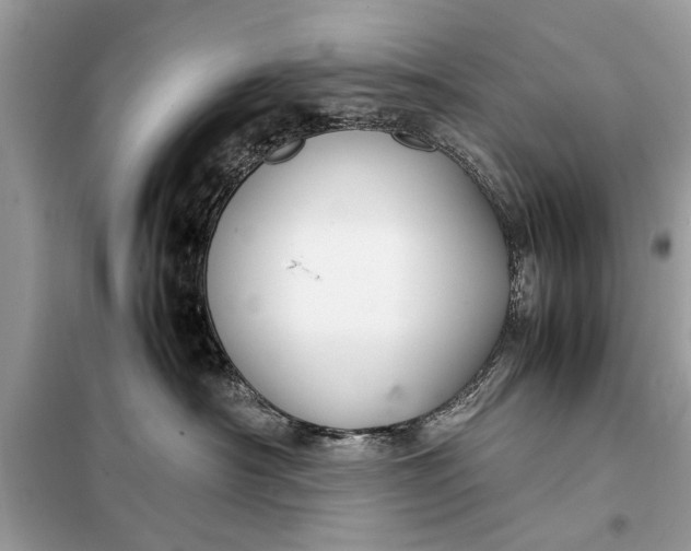 X0000098190430200805081052