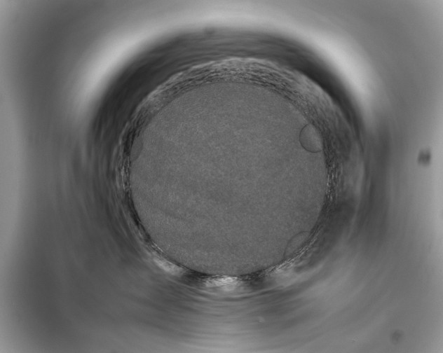 X0000098190431200805081052