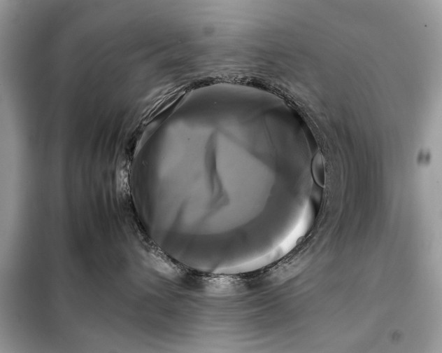 X0000098190432200805081052