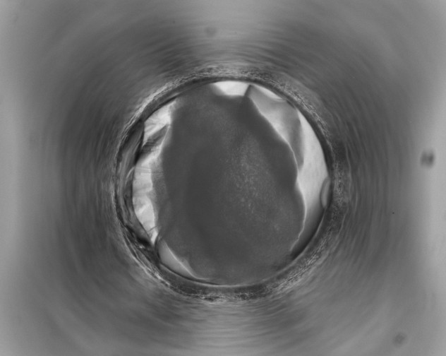 X0000098190434200805081051