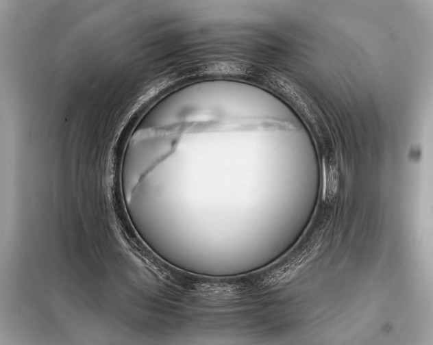 X0000098190435200805081051
