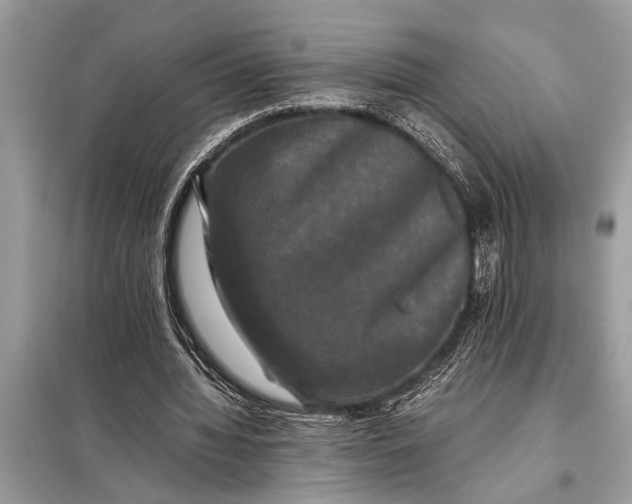 X0000098190436200805081051