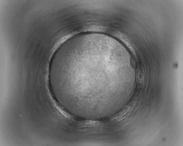 X0000098190437200805081051