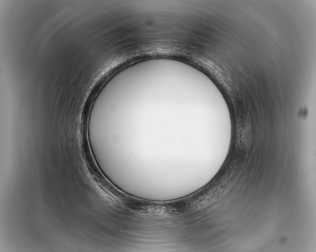 X0000098190439200805081051