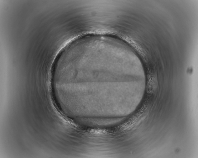 X0000098190440200805081051