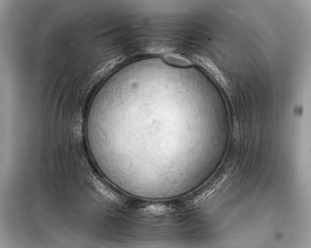 X0000098190441200805081051